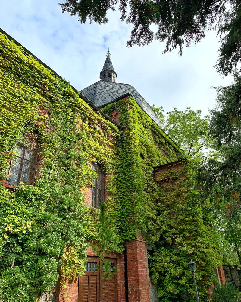 Německo Goerlitz kostel rostliny