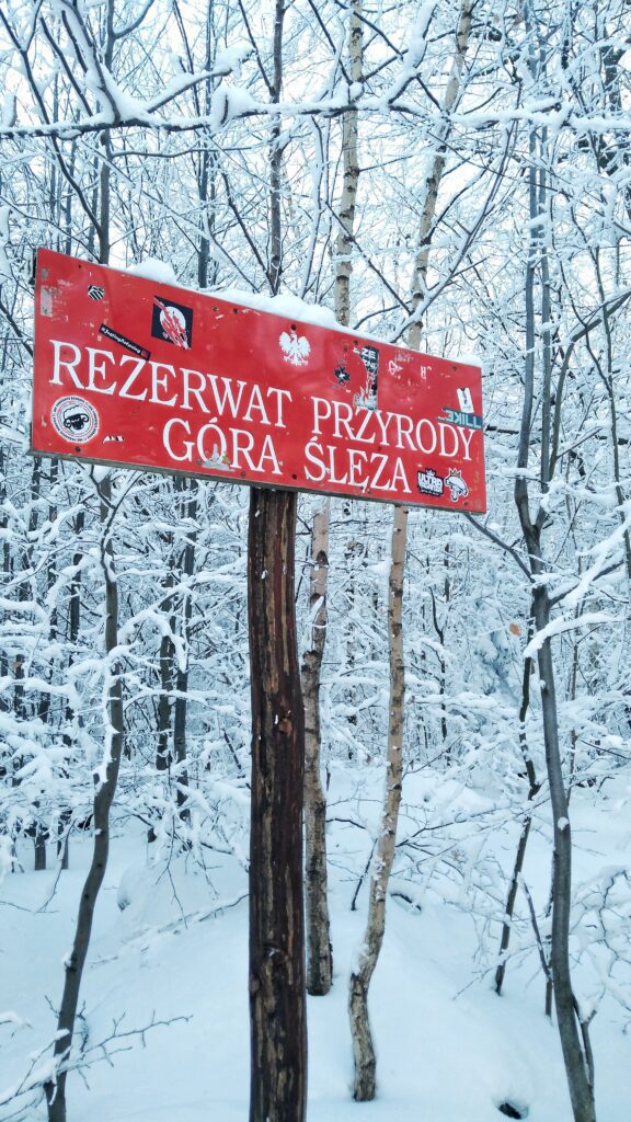 Dolní Slezsko tabula les zima