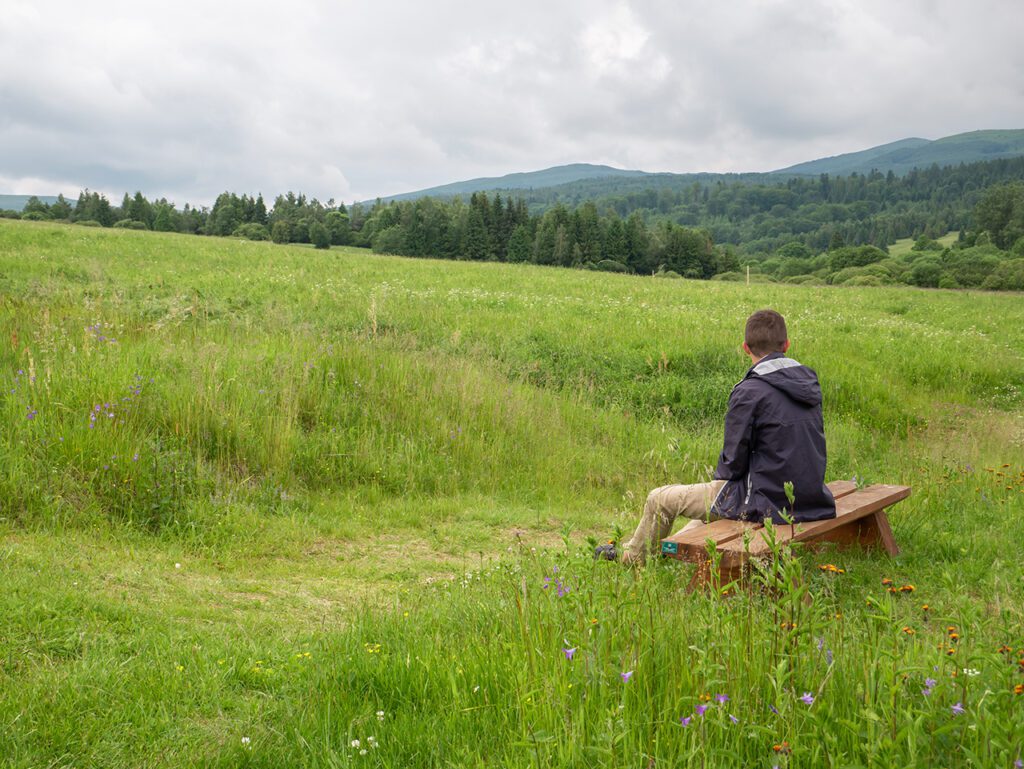 Pohoří Bieszczady Polsko hoch louka